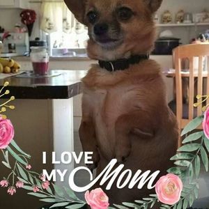 Meet your Posher, Vicky